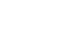 icon of two birds standing next to one another